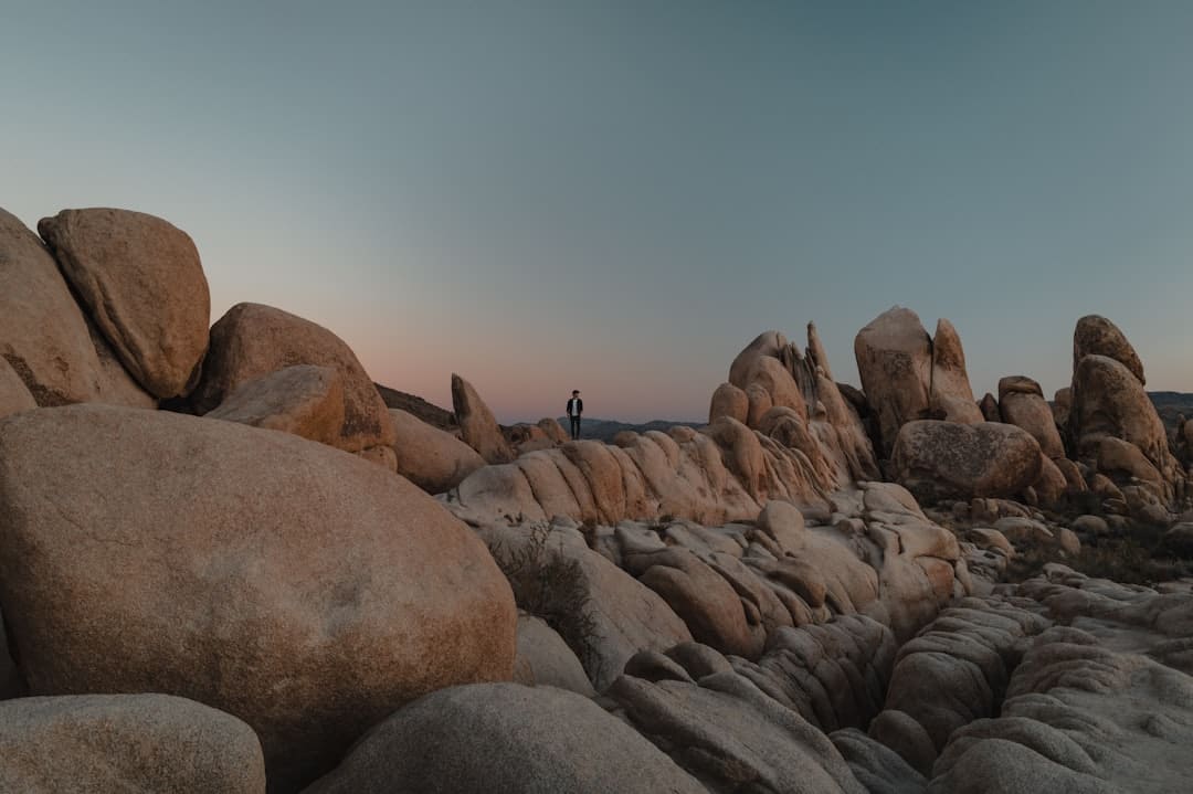 阴阳师于家什么梗
